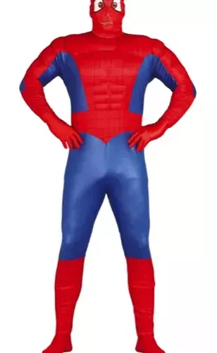 SUPER HEROS TAILLE L