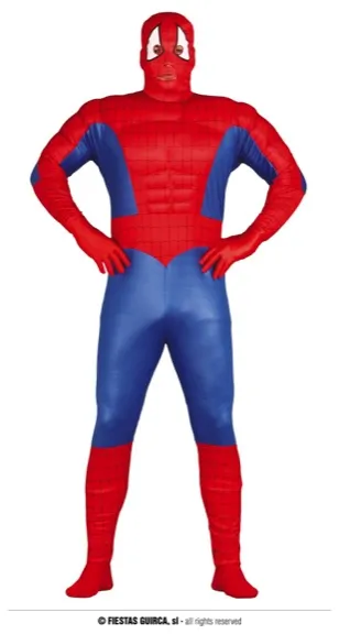 SUPER HEROS TAILLE L