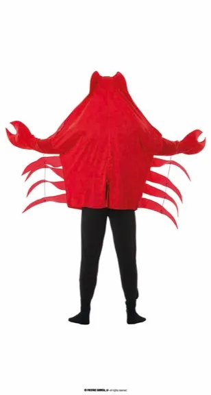 CRABE TAILLE L – Image 3