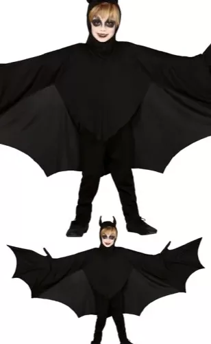 CHAUVE-SOURIS 7 9 ANS