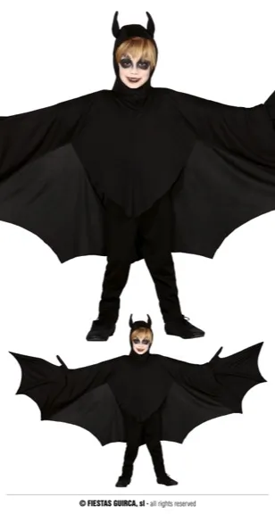 CHAUVE-SOURIS 7 9 ANS