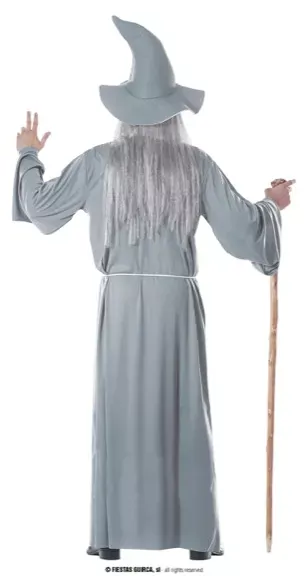 WIZARD, ADULTE, 46 – 48 (S) – Image 2