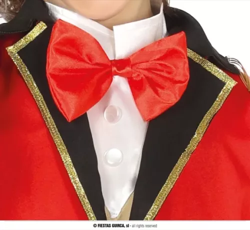 DIRECTEUR DE CIRQUE ENFANTS 7 9 ANS – Image 3