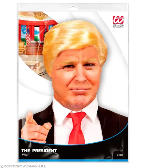 PERRUQUE PRESIDENT en sachet – Image 2
