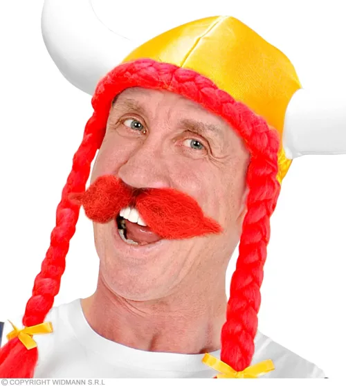 MOUSTACHE SCHNAUZER ROUGE – Image 3