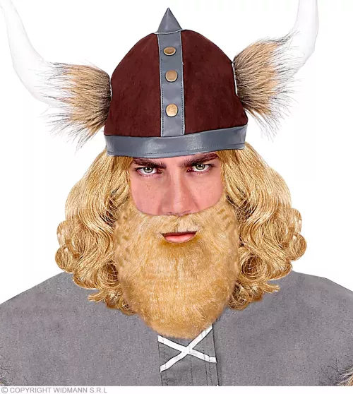MOUSTACHE AVEC BARBE blondes – Image 3